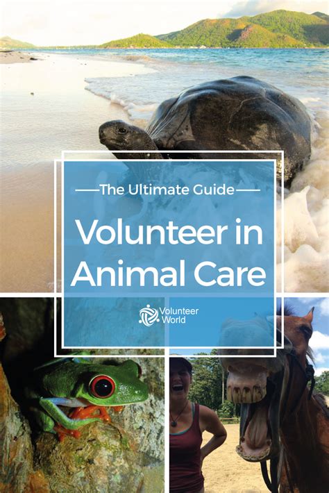 volunteer with animals abroad free